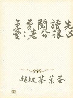 免费阅读先婚后爱:老公很凶猛全文
