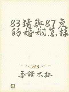83猪与87兔的婚姻怎样