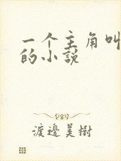 一个主角叫江晓的小说