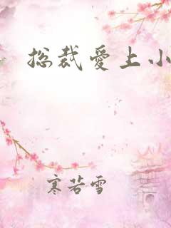 总裁爱上小娇妻