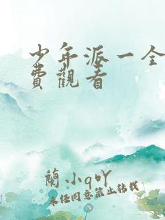 少年派一全集免费观看