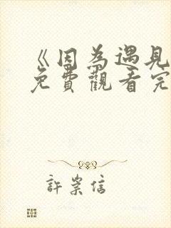 《因为遇见你》免费观看完整版