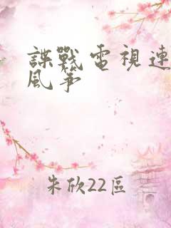 谍战电视连续剧风筝