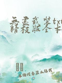 无尽武装txt精校版全本