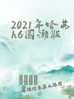 2021年哈弗h6国潮版