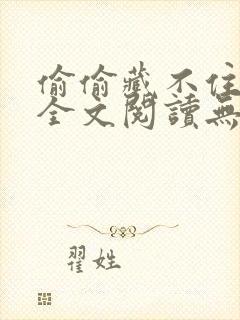 偷偷藏不住小说全文阅读无弹窗