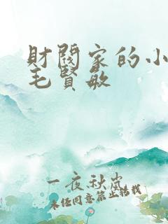 财阀家的小儿子毛贤敏