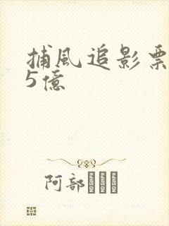 捕风追影票房破5亿
