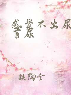 感觉不出尿意但有尿