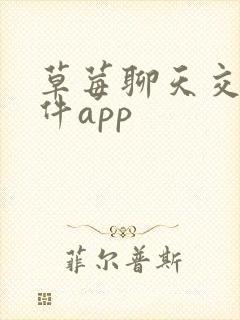 草莓聊天交友软件app