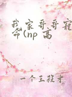 我家哥哥宠妹如命(np 高
