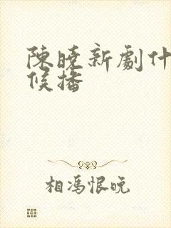 陈晓新剧什么时候播