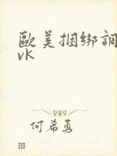 欧美捆绑调教丨vk