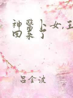 神医卜女,王妃回来了