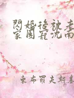 闪婚后被老公全家团宠沈南西,厉景川