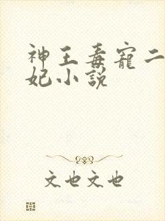 神王毒宠二嫁王妃小说
