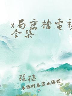 x局密档电视剧全集
