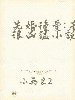 先婚后爱:老公很凶猛小说免费阅