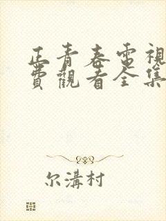 正青春电视剧免费观看全集完整版追剧网