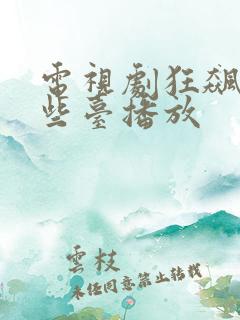 电视剧狂飙在那些台播放