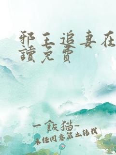 邪王追妻在线阅读免费