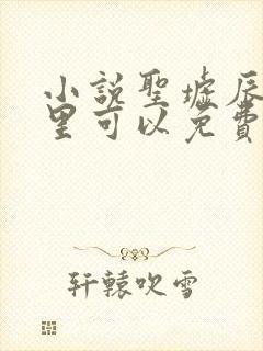 小说圣墟辰东哪里可以免费阅读