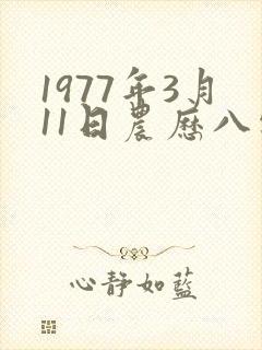 1977年3月11日农历八字