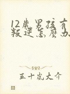 12岁男孩有点叛逆怎么办