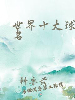 世界十大球星排名