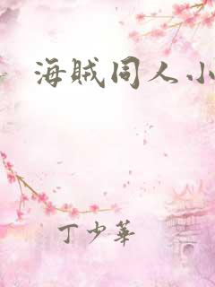 海贼同人小说