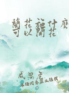 兰花施什么肥料可以开花