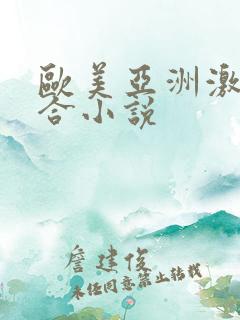 欧美亚洲激情综合小说