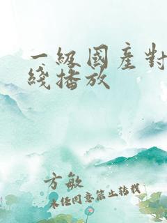 一级国产对白在线播放