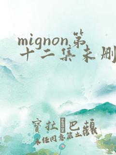 mignon第十二集未删减