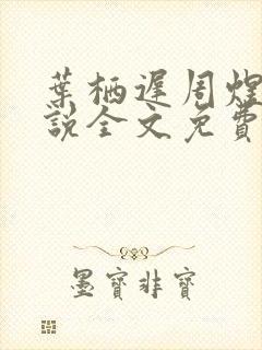 叶栖迟周煜的小说全文免费阅读