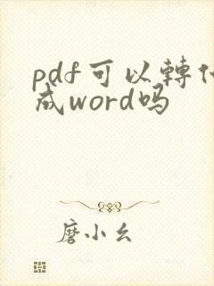 pdf可以转化成word吗