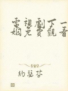 电视剧下一站婚姻免费观看全集高清