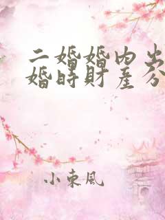 二婚婚内出轨离婚时财产分割