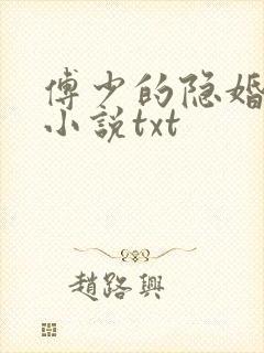 傅少的隐婚甜妻小说txt