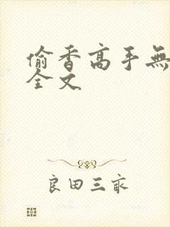 偷香高手无删减全文