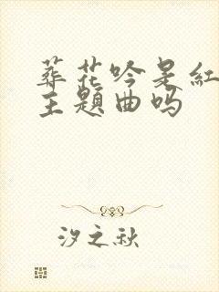 葬花吟是红楼梦主题曲吗