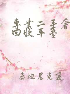 专业二手奢侈品回收平台