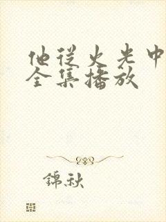 他从火光中走来全集播放
