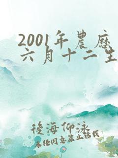 2001年农历六月十二生辰八字