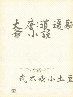 大唐:逍遥驸马爷 小说
