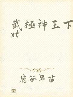武极神王下载txt