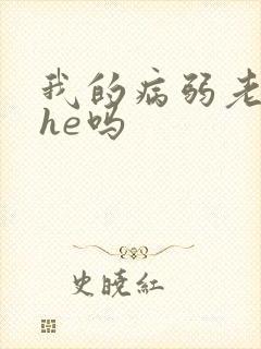 我的病弱老婆是he吗