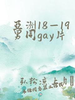 亚洲18—19男同gay片