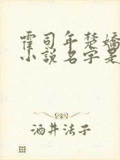 霍司年楚娇娇的小说名字是什么?