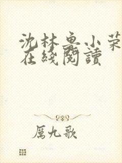 沈林鲁小荣小说在线阅读